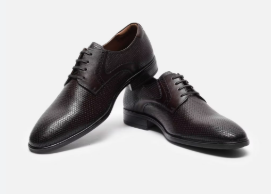 shoe